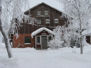 Ladugården i januari 2010