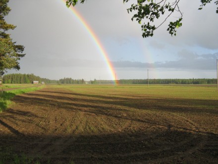 Regnbågen