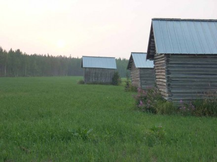 Sommarkväll i Skutnabba 1