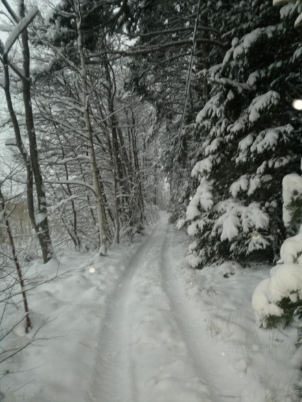 vägen till bilen i snö