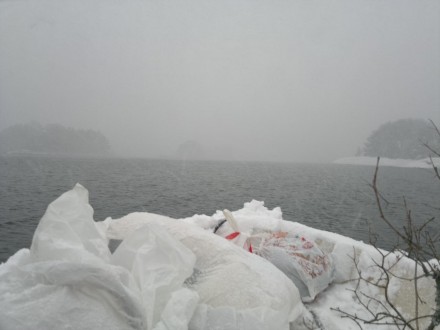 fraktar marknadssaker i snöyra