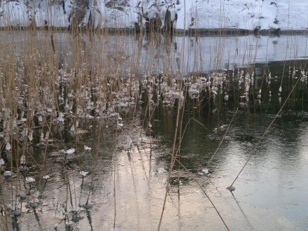 Röjknoppning