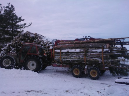 ....... lyckligtvis råkade jag ha så pass mycket virke liggandes i skogen så att jag fick ihop ett lass att ta hem. Man vill ju ogärna komma hem tomhänt :)