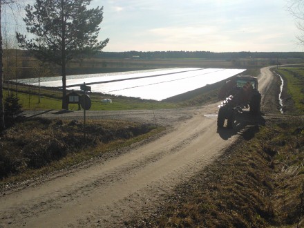 Bländande vit lyser den fibervävstäckta åkern i kvällssolen.