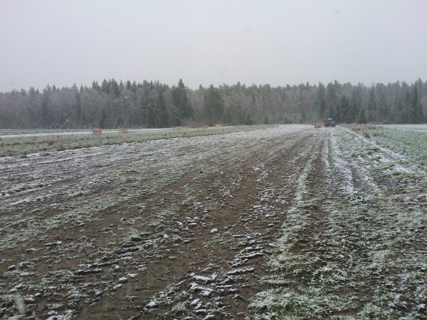 Natten till torsdag 17 oktober kom den första snön, med facit i hand borde vi nog skördat vidare men......