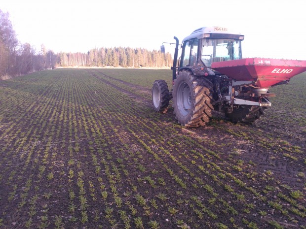 Kumminet började grönska så det var bäst att övergödsla det innan jag skruvade sönder traktorn. Lite på 3mm regn natten efter gödslingen kom som på beställning :)