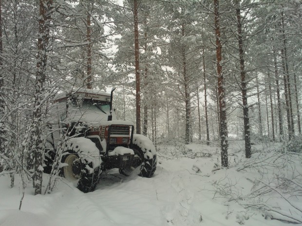 12.03.2013. Trotjänaren har snöat ner under natten men startar snällt i kylan.