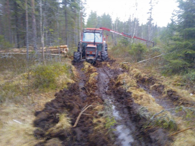 6.3.2014. Denna bild får beskriva skogsföret vintern 2014.