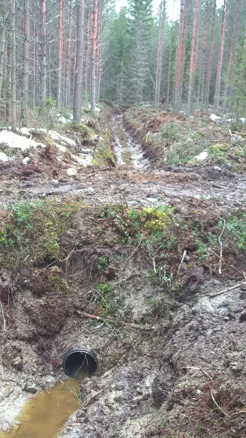 Dikestrumma för att underlätta korsande av diket i fortsättningen.