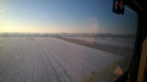 Vad jag kunde förstå så hade majskolvarna plockats för hand och nu höll man på med skörd av de torra stjälkarna som buntades och transporterades hem för användande som foder?