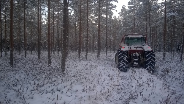 Getporsmossarna brukar inte frysa till om man inte kör spår men nu bär det bra även här.