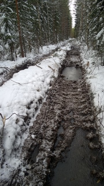 Tunga maskiner lämnar spår i skogen.