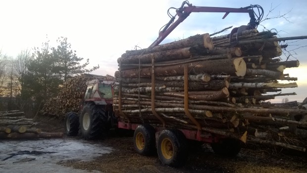 Ännu ett flisvedslass till upplaget för att torka över sommaren och till värme inkommande vinter.