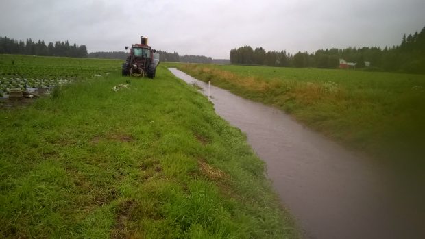 14.8.2016. Vattnet i Långmossbäcken vid norra vägåkern börjar stiga mot kvällen.