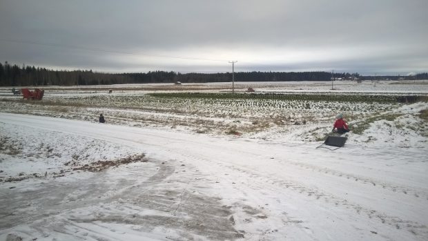 Snöläget på farsdag 13.11.2016